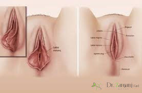 روش های جراحی زیبایی واژن به قرار ذیل است :